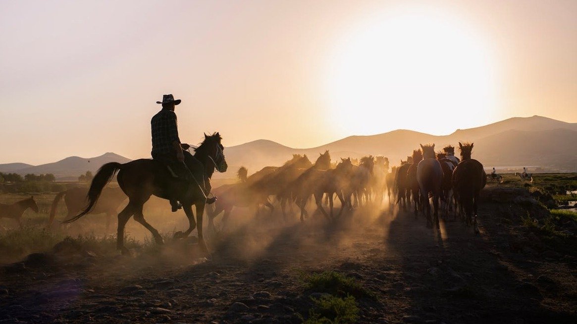 Cowboys on a ranch Hatice