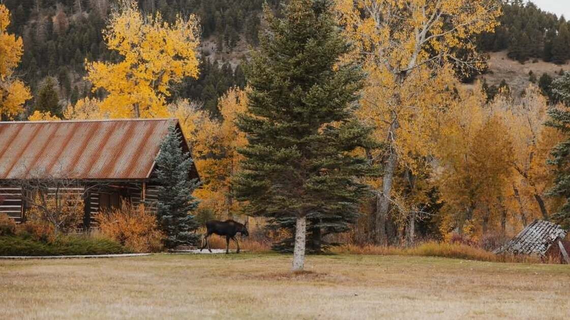The Ranch at Rock Creek Instagram @theranchatrockcreek